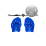 Plavecké packy NILS Aqua NQAP10 modré